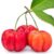 Acerola: 8 benefits for your health