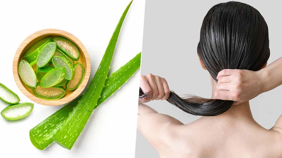 Aloe on hair how to apply to moisturize and grow hair