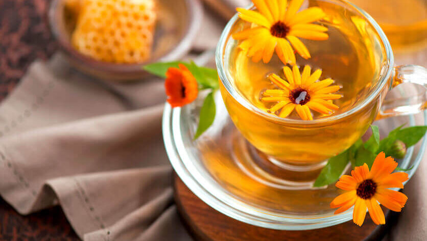 Arnica – Benefits and what is your tea for