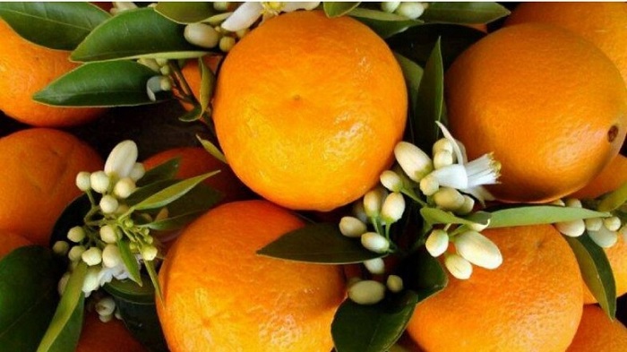 Benefits of orange blossom