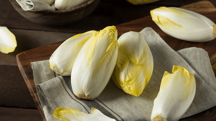 Discover 6 benefits of consuming endive