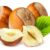 Hazelnut: benefits and ways to consume