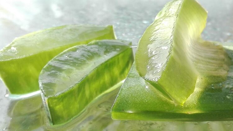 How to use aloe at home