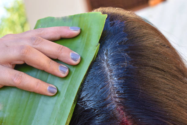 How to use aloe in hair