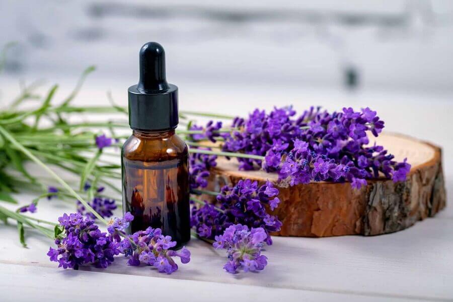 Lavender what is your essential oil
