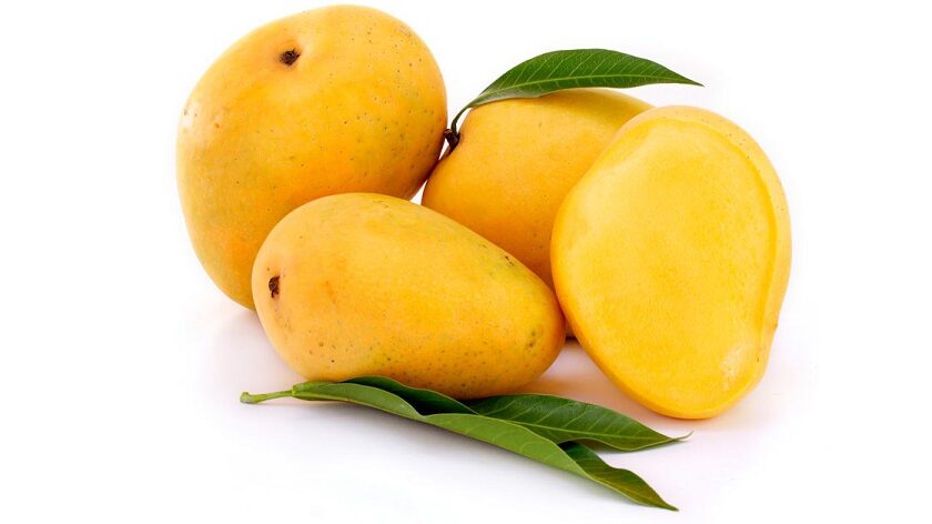 Mango, the tropical fruit and its benefits