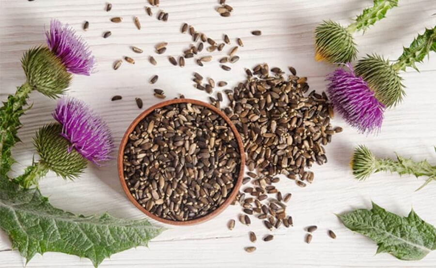 Milk thistle what is it for and how to drink it