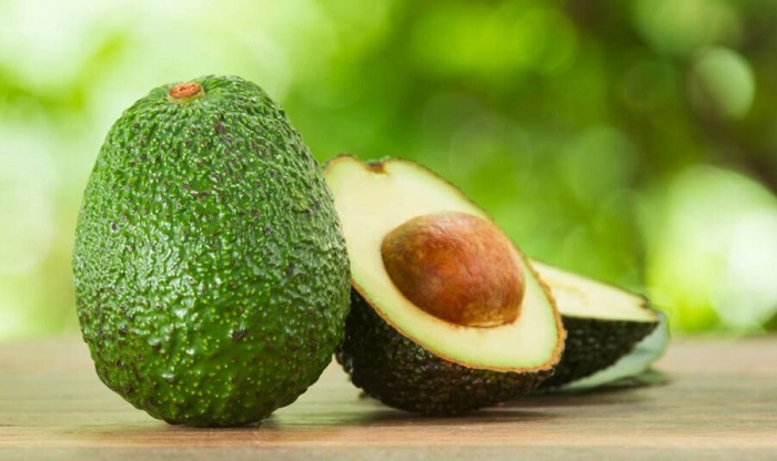 Origin of avocado