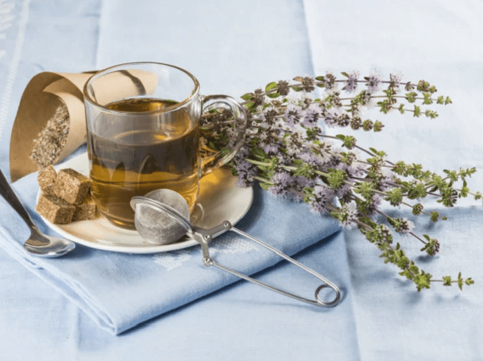 Properties and benefits of pennyroyal tea