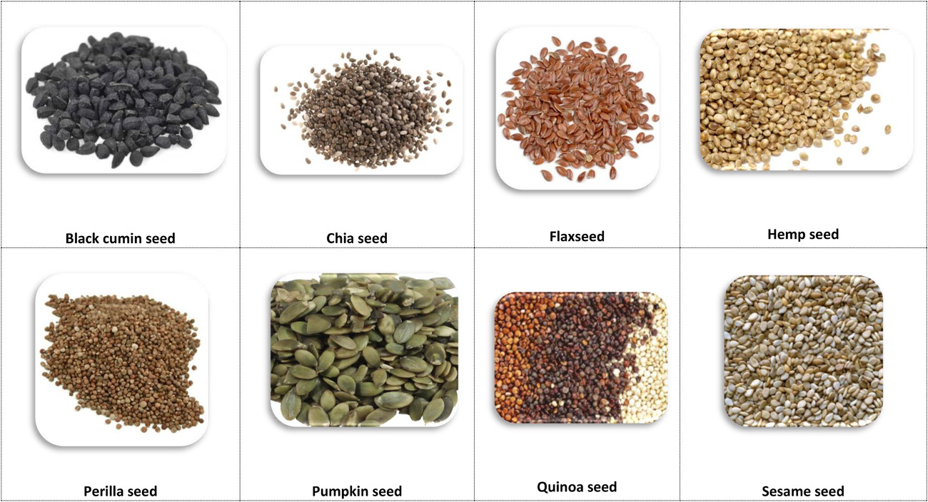 Seeds TheDietMD