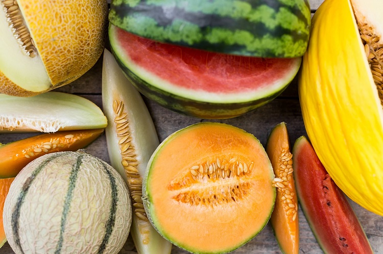 Types of melon