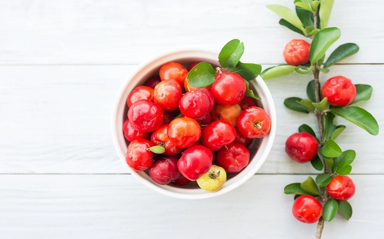 What are the main benefits of acerola