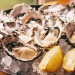 benefits of oysters