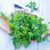 Parsley: 9 benefits and how to use